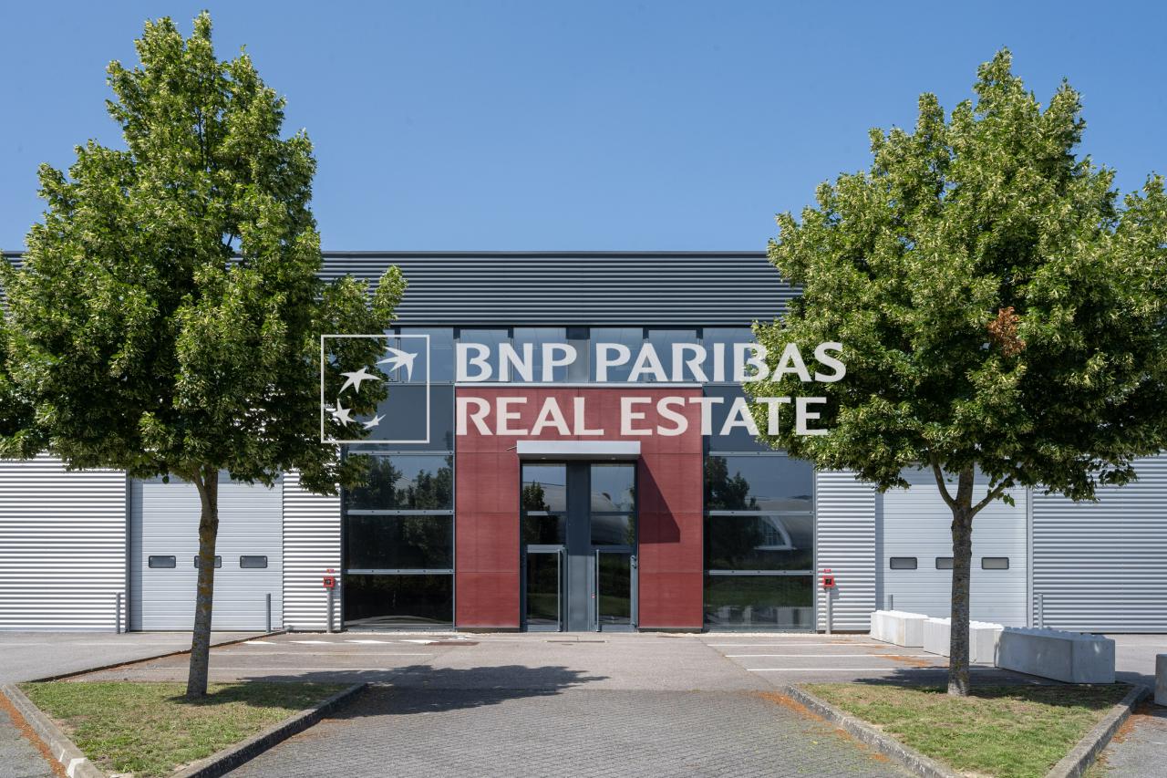 Local d'activité Élancourt 534m² Location local d'activité Élancourt Yvelines OLACT2318123 1